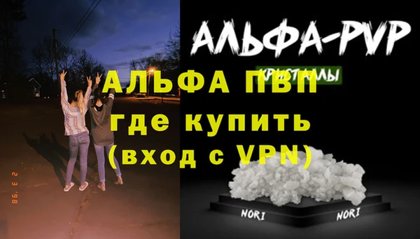 apvp Алексин