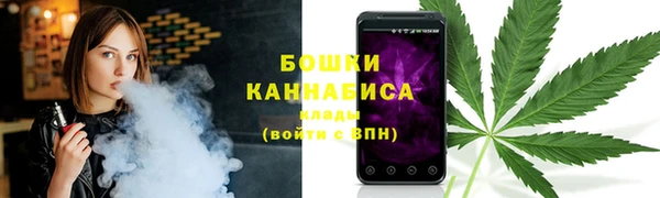 шишки Алексеевка