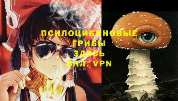apvp Алексин